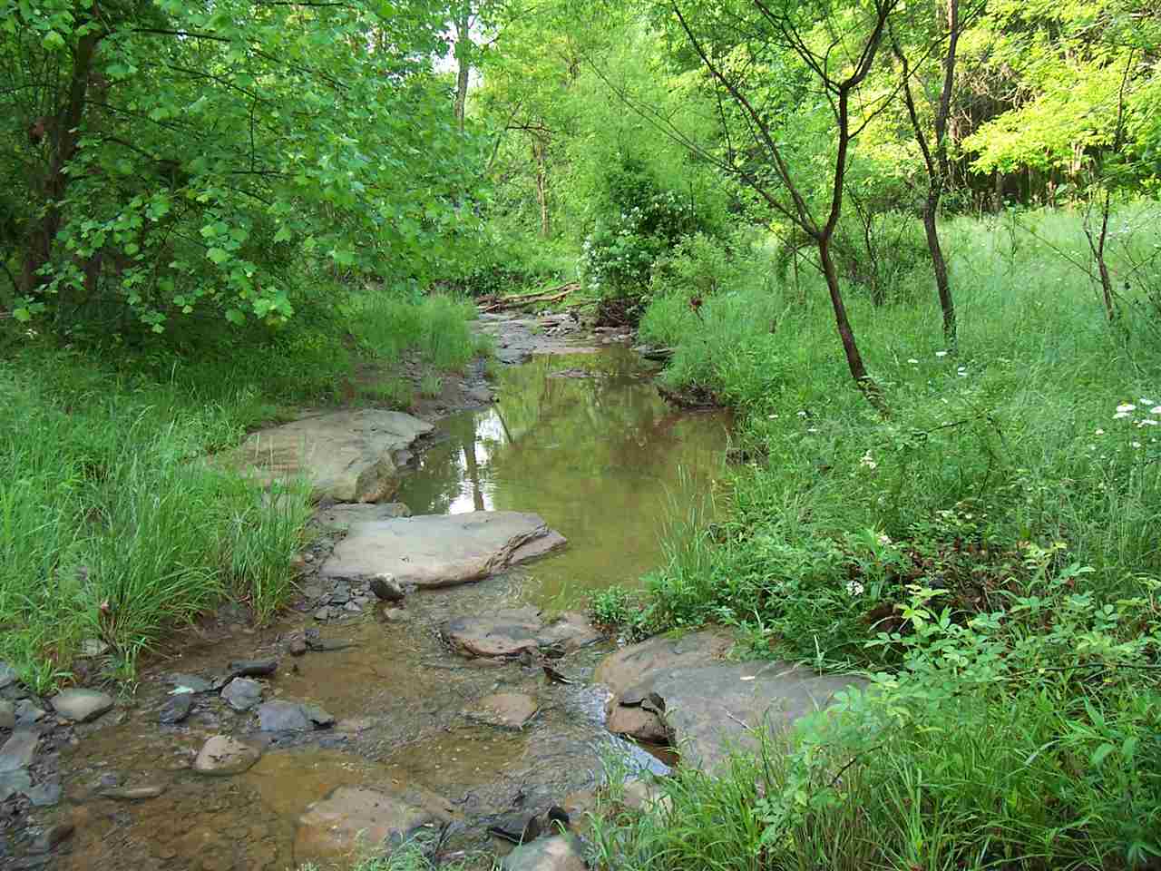 952 Gates Line Road Leon, WV 25123 - Photo 16 of 21 Gallery Image 16