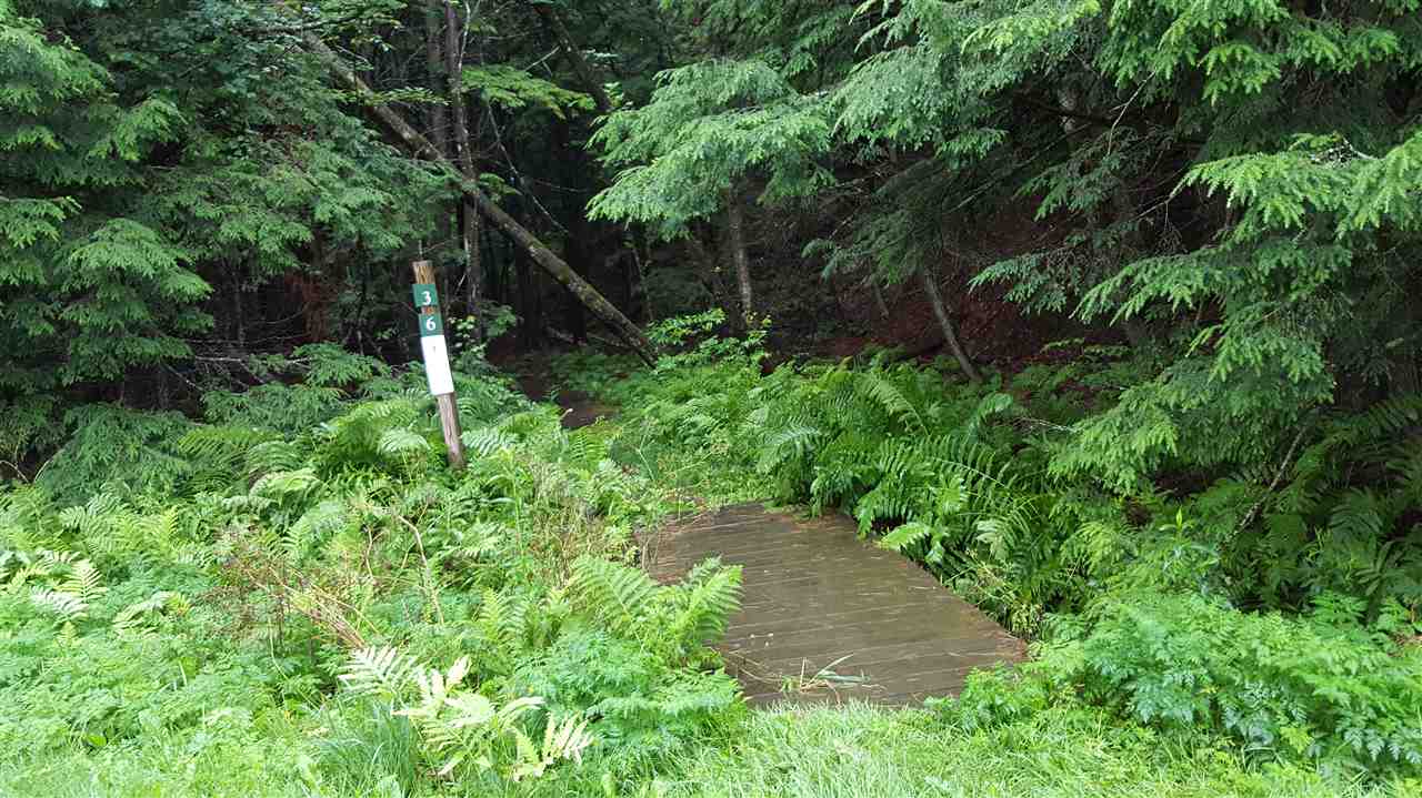 41 Clover Hill Road, Unit 41 Randolph, VT 05060 - Photo 4 of 4