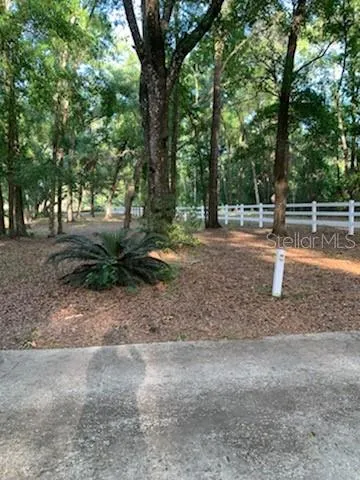 a backyard of a house with lots of green space