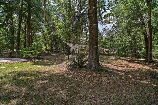 a view of outdoor space with trees