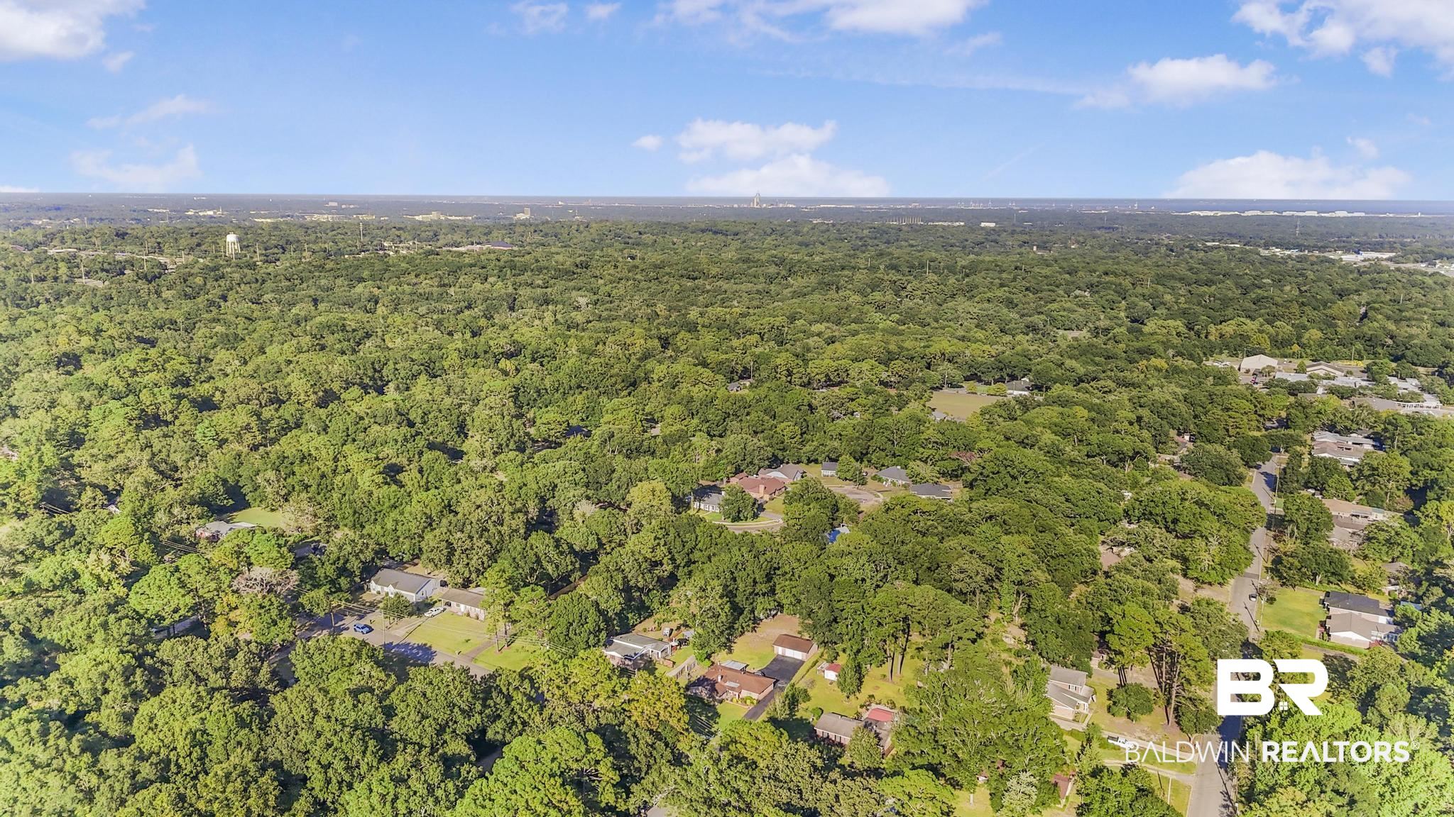 2573 E Road Mobile, AL 36693 - Photo 41 of 45 View of property location with a forest