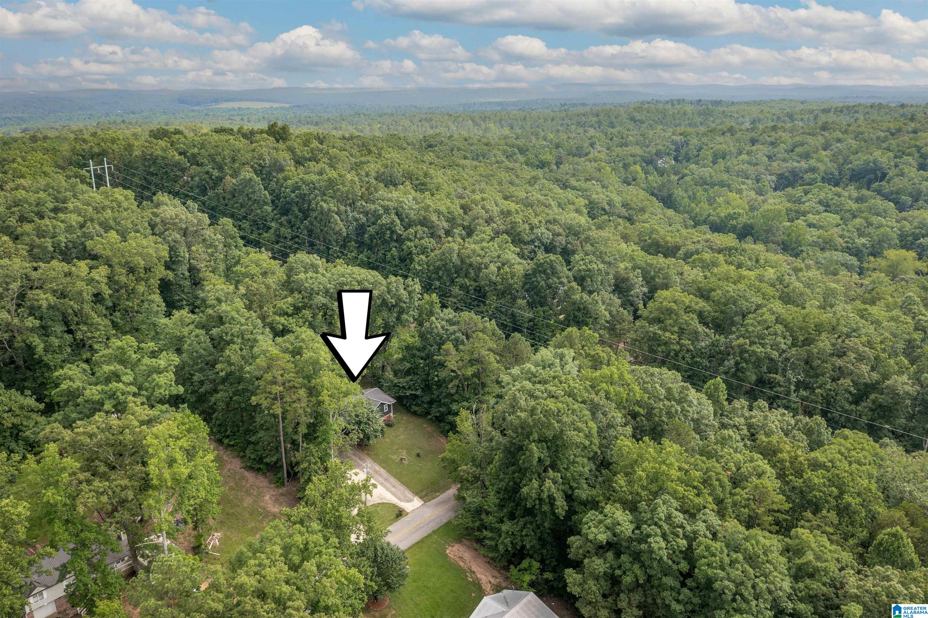 394 Stoney Way Alexandria, AL 36250 - Photo 27 of 30