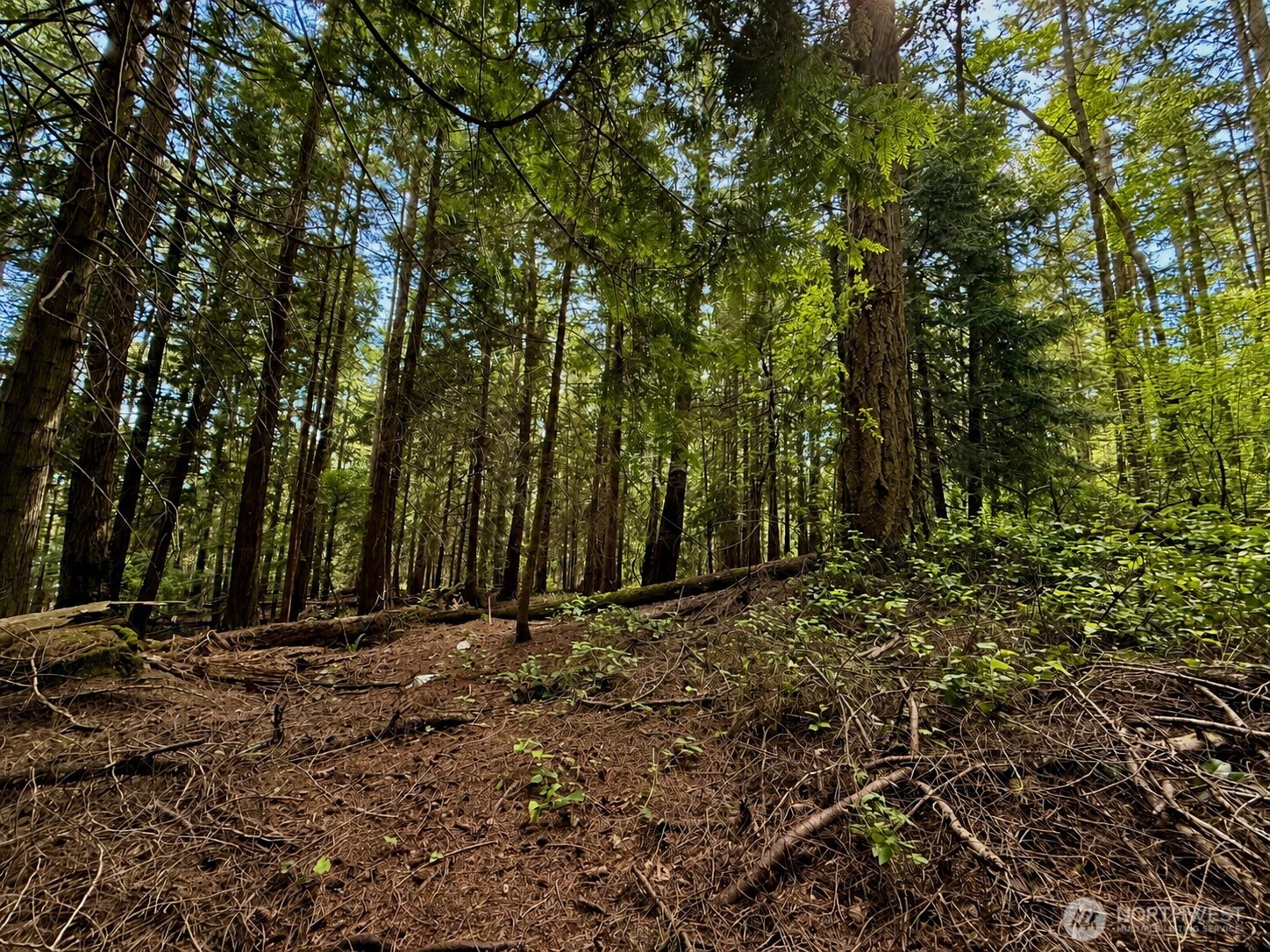 0 Lots 7-8 Newton Beach Road Shaw Island, WA 98286 - Photo 21 of 33
