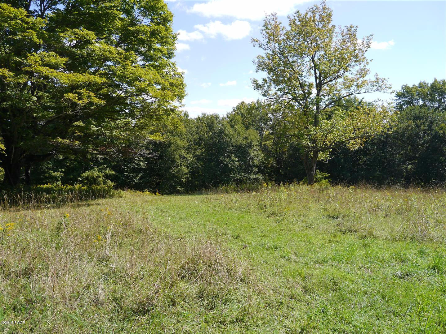 385 Stalker Road Equinunk, PA 18417 - Photo 16 of 20 Gallery Image 16