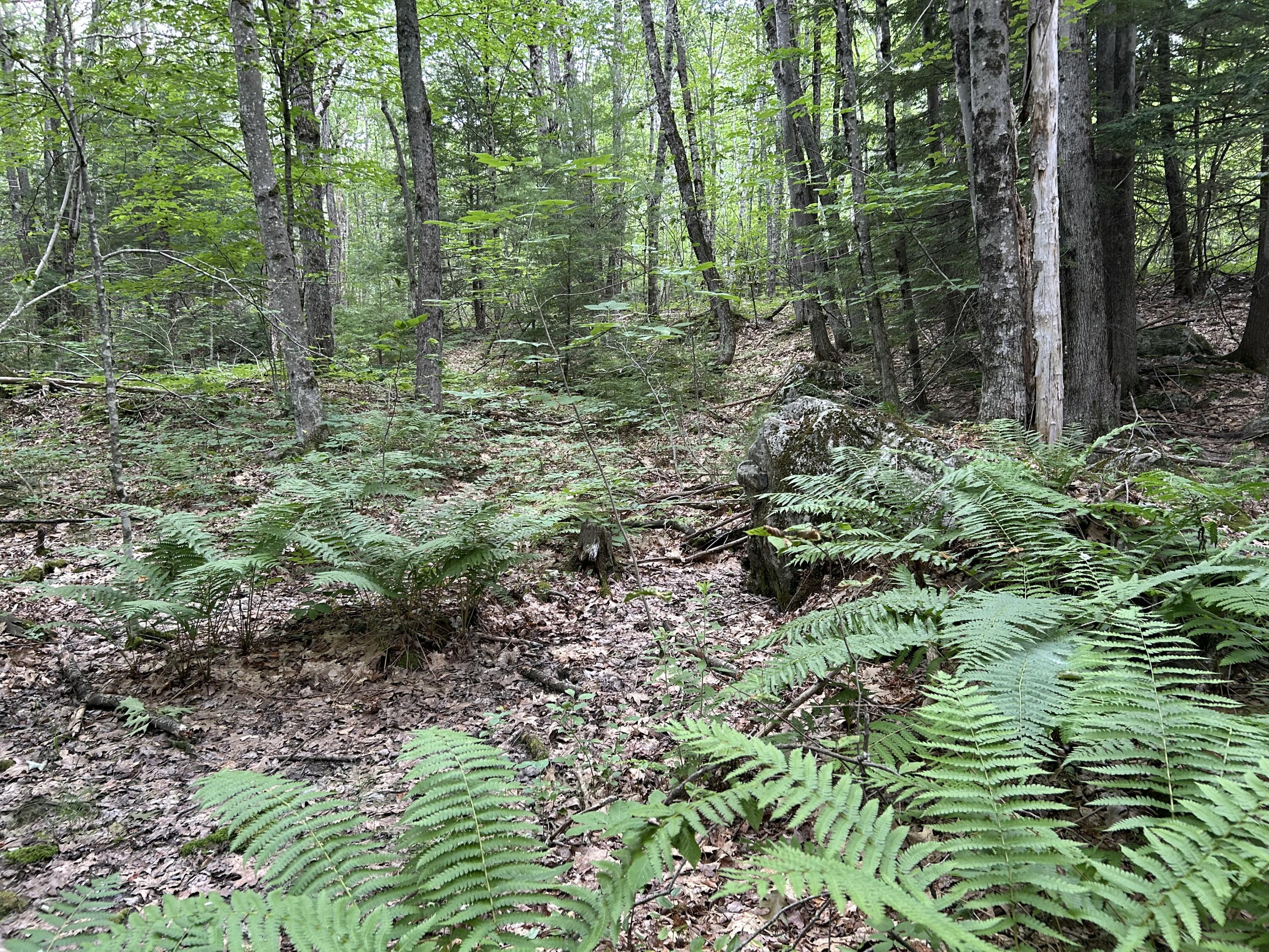 M7-l99h Bolton Hill Road Augusta, ME 04330 - Photo 14 of 30 33