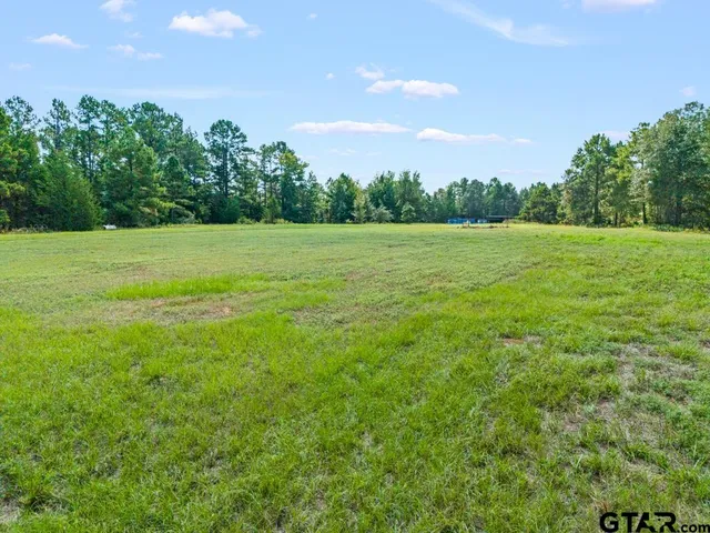 a view of field with trees in the background