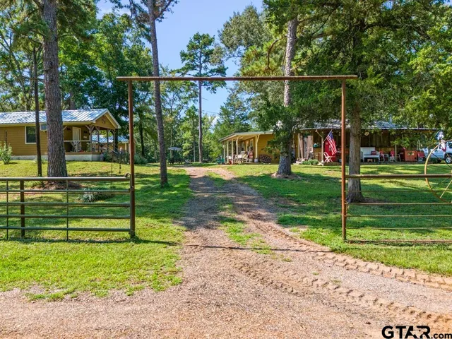 a view of a park that has two on the side of it