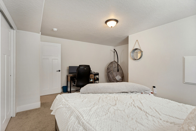 2285 West Sunrise Ranch Drive Mapleton, UT 84664 - Photo 44 of 48
