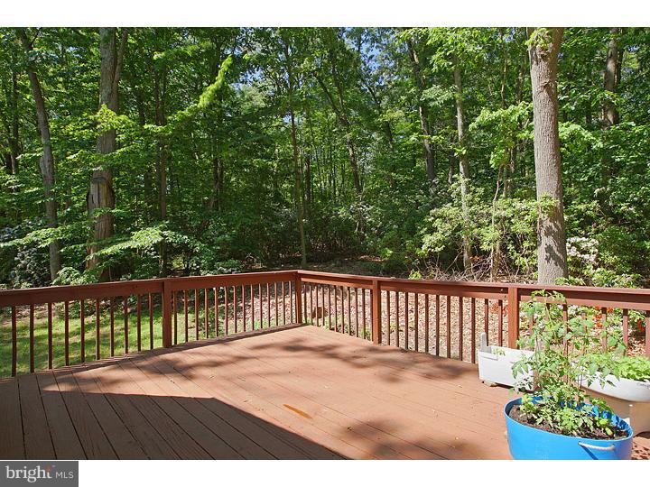 129 Cedar Road Mullica Hill, NJ 08062 - Photo 13 of 13 Gallery Image 13