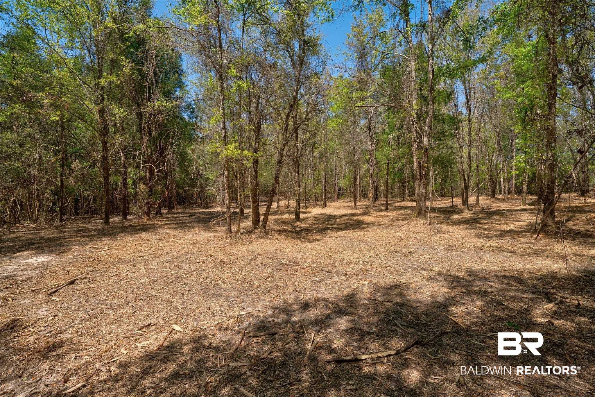 44772 Phillipsville Road Bay Minette, AL 36507 - Photo 2 of 15 Gallery Image 2