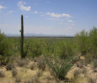 0 Carpenter Ranch Road Marana, AZ 85653 - Photo 3 of 3