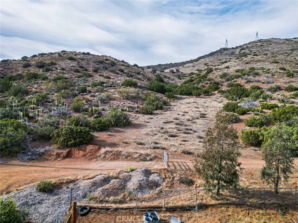 0 Dwight Lee Street Acton, CA 93510 - Photo 2 of 40 a view of a yard