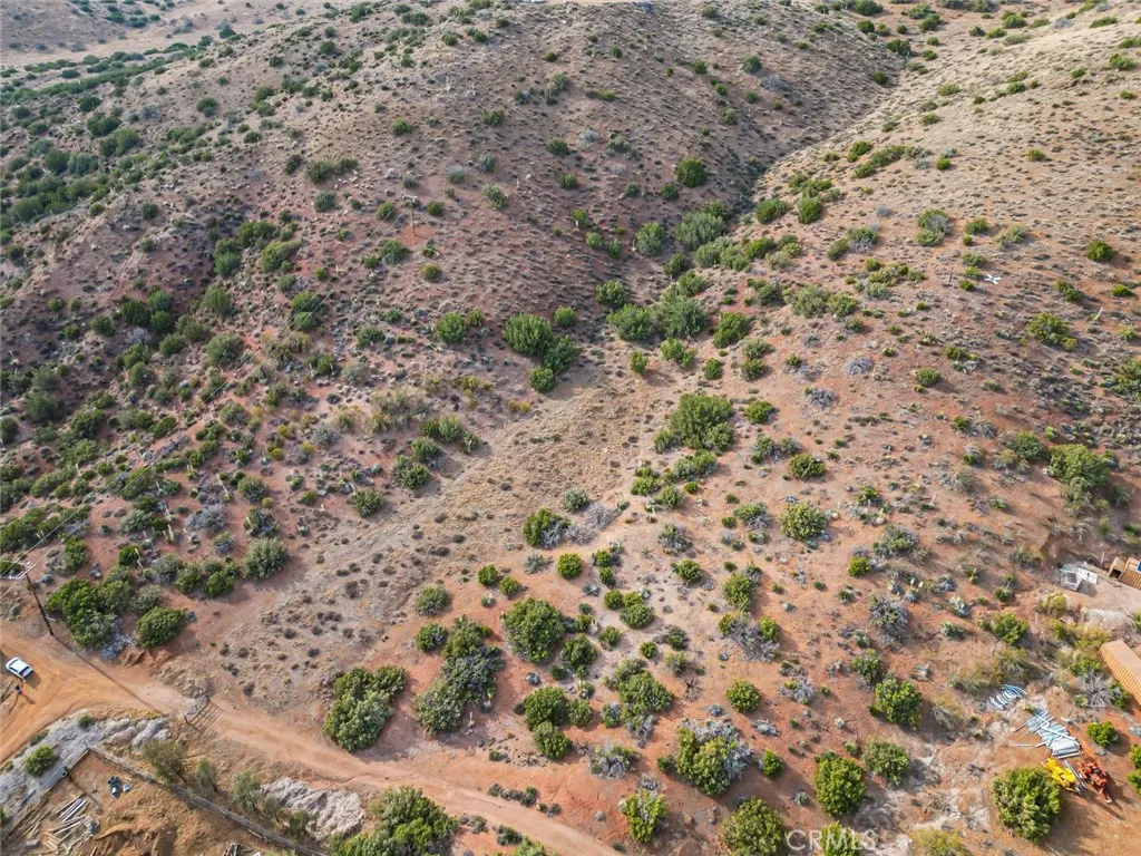 0 Dwight Lee Street Acton, CA 93510 - Photo 24 of 40 a view of a yard with a dry plant