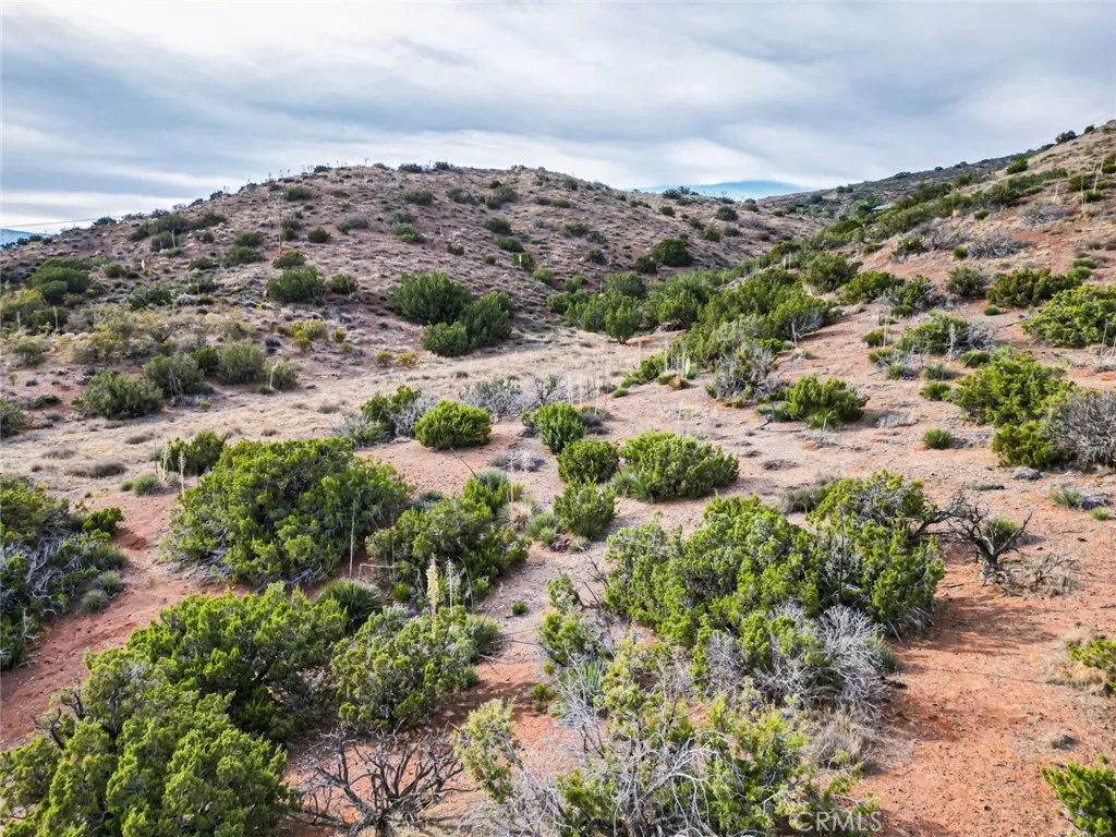 0 Dwight Lee Street Acton, CA 93510 - Photo 29 of 40 a view of a forest with mountains in the background