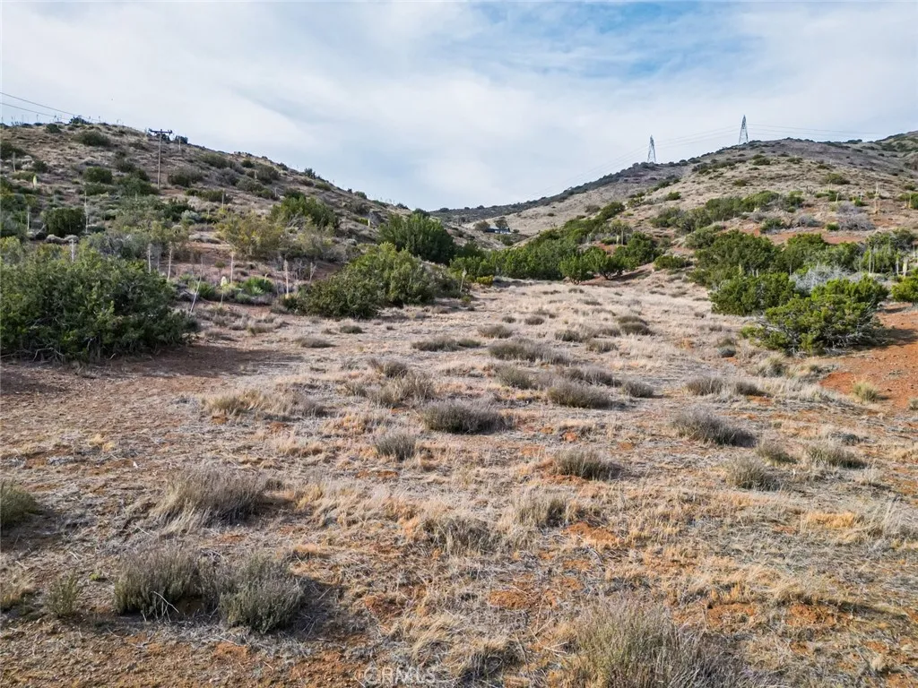 0 Dwight Lee Street Acton, CA 93510 - Photo 3 of 40 a view of a dry yard with green space