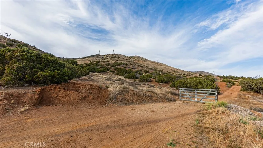 0 Dwight Lee Street Acton, CA 93510 - Photo 31 of 40 a view of a dry yard with mountain