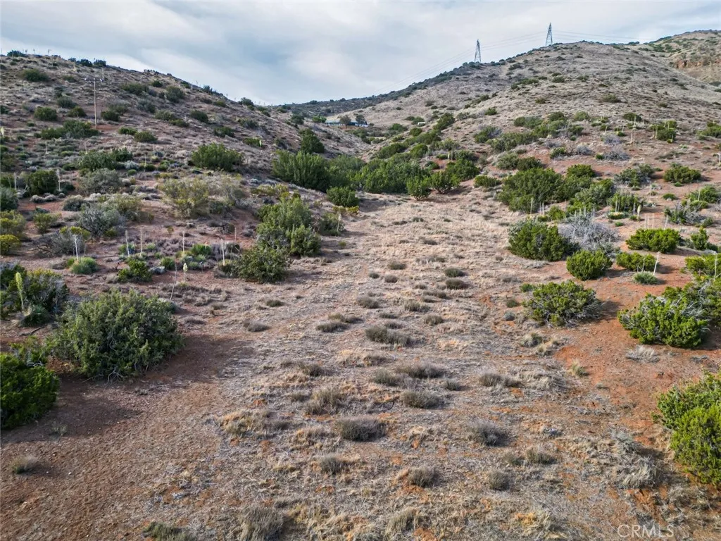 0 Dwight Lee Street Acton, CA 93510 - Photo 32 of 40 a view of a dry field