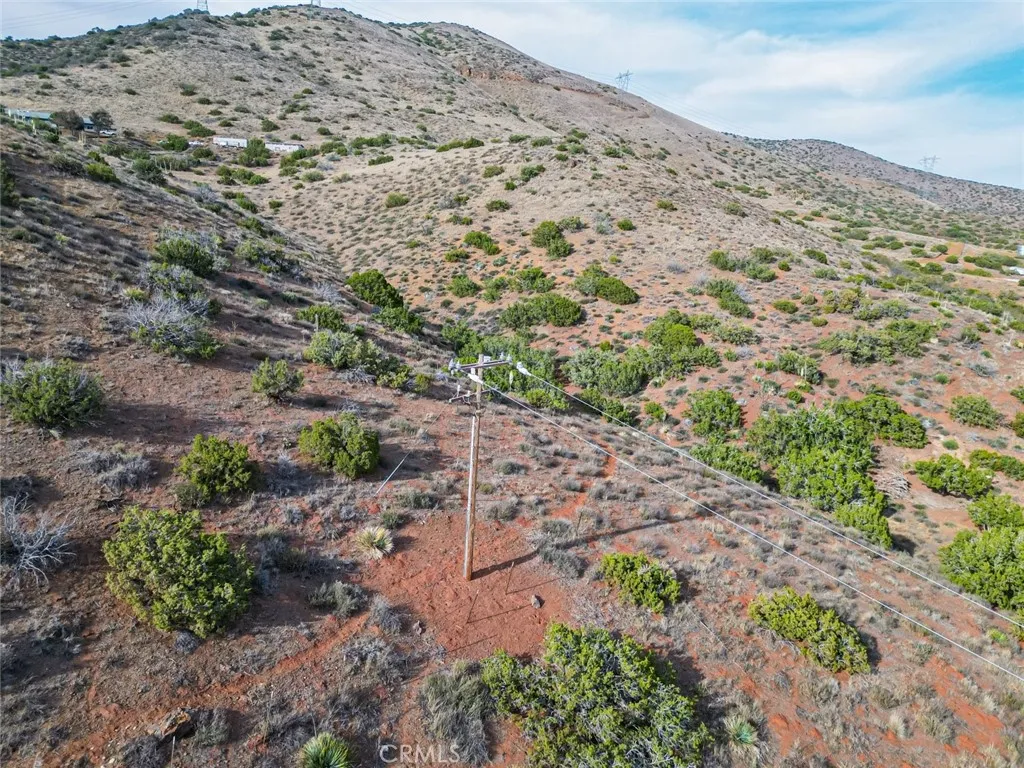 0 Dwight Lee Street Acton, CA 93510 - Photo 37 of 40 a view of a yard with a mountain