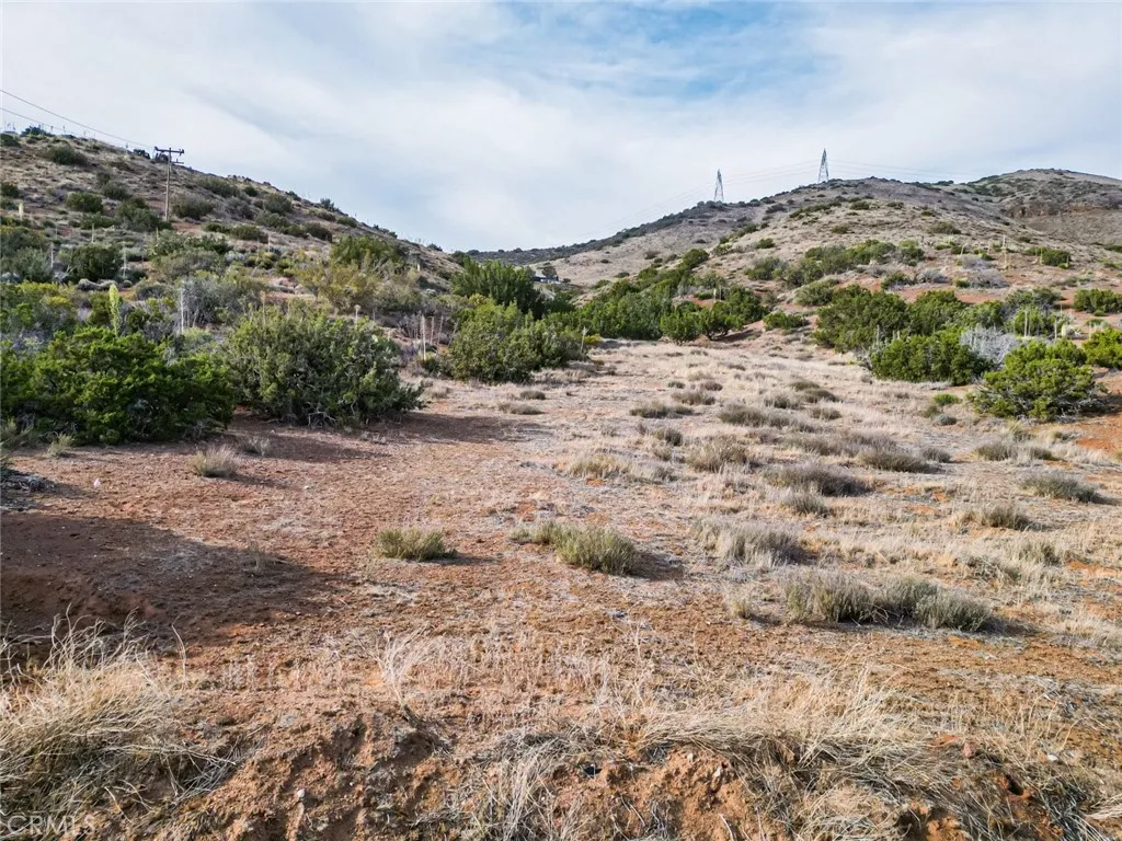 0 Dwight Lee Street Acton, CA 93510 - Photo 4 of 40 a view of a dry yard with mountains in the background