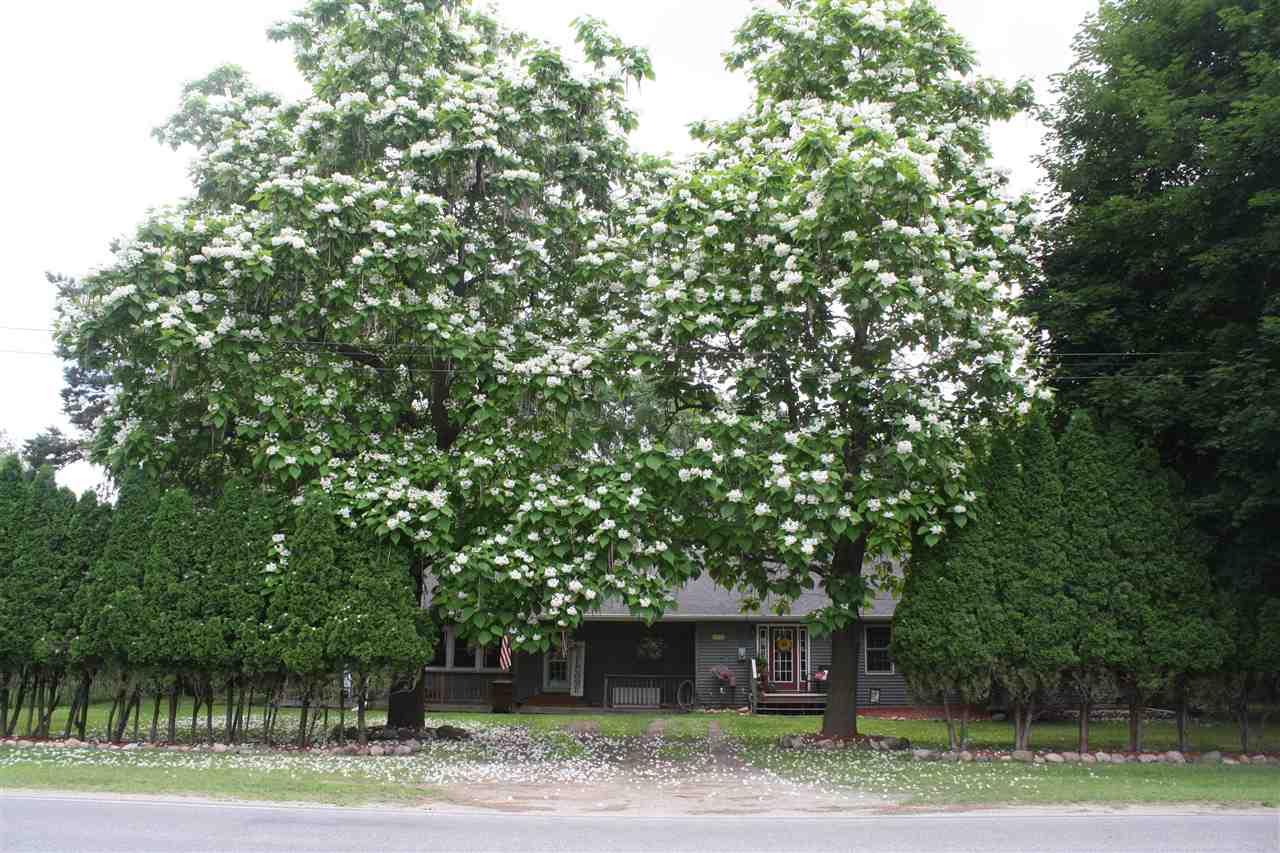 6240 West Airline Road Weidman, MI 48893 - Photo 2 of 29 1864117-1.JPG