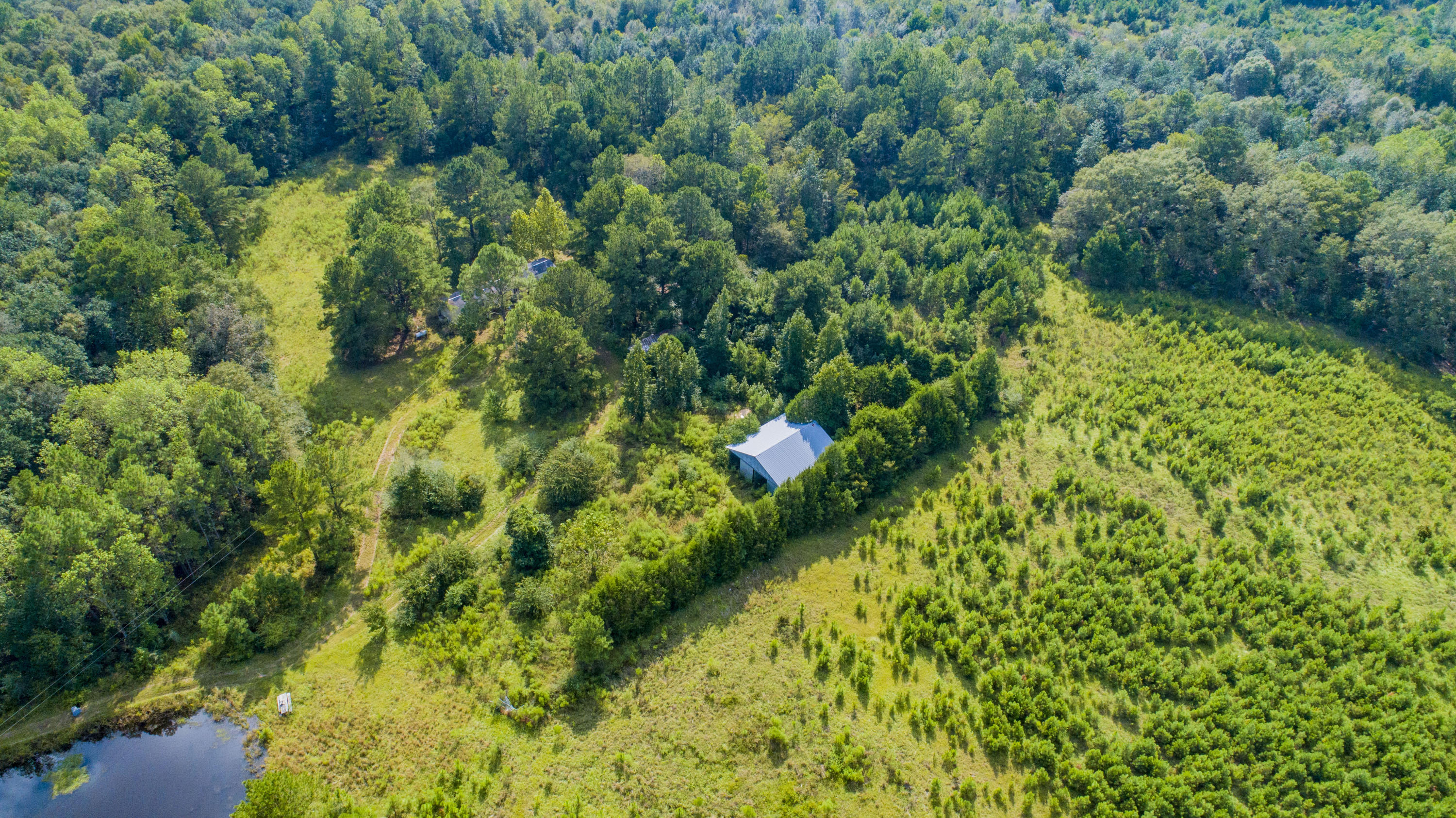 8050 Jordan Road Baker, FL 32531 - Photo 25 of 36 a view of a garden