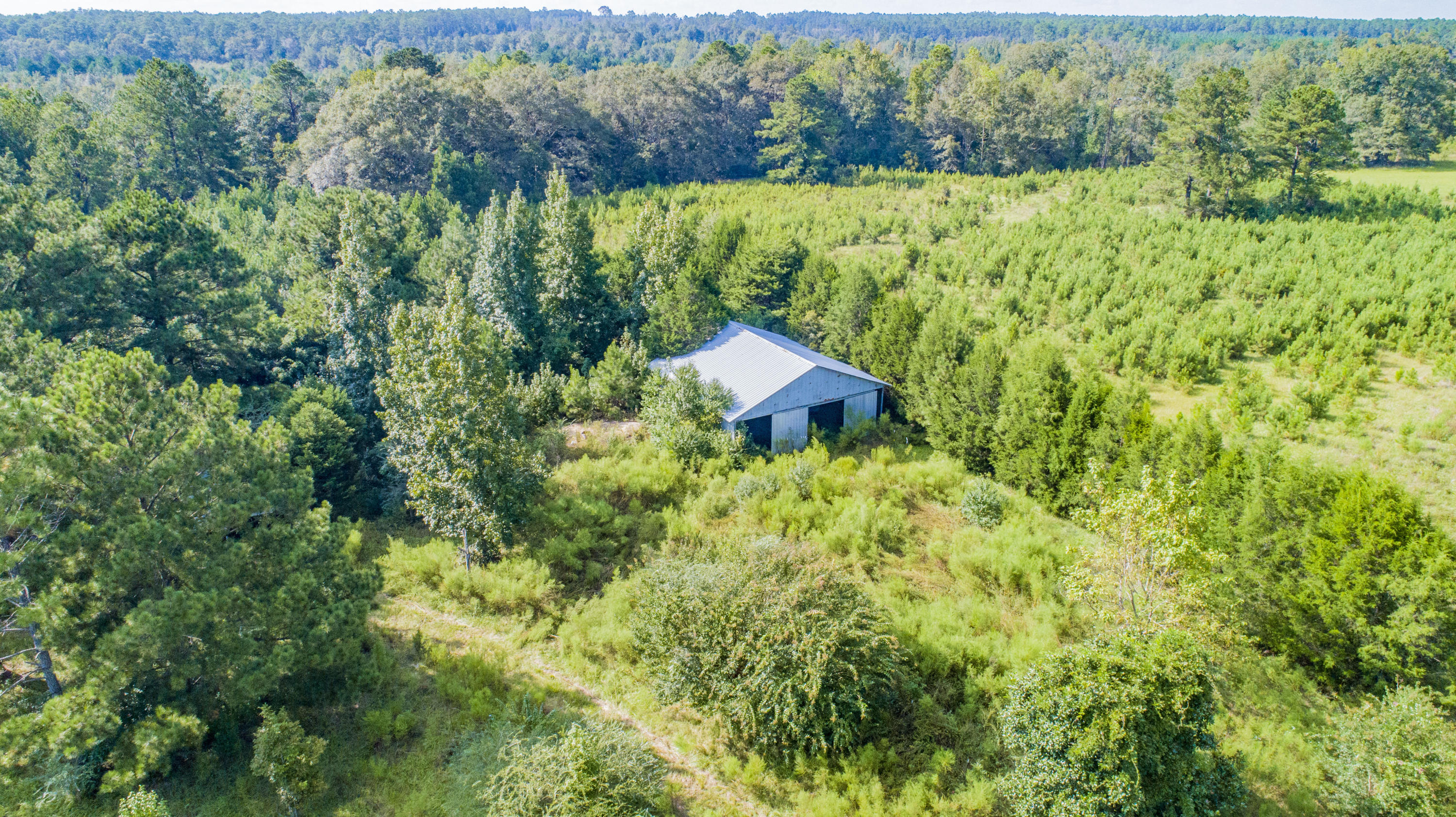 8050 Jordan Road Baker, FL 32531 - Photo 3 of 36 a view of a lush green forest with a house