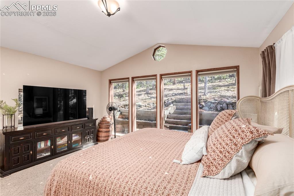 44 Anderson Road Florissant, CO 80816 - Photo 18 of 31 a bedroom with a bed and a flat screen tv