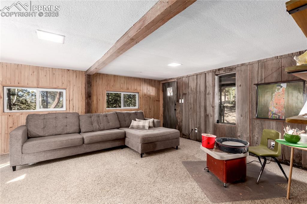 44 Anderson Road Florissant, CO 80816 - Photo 21 of 31 a living room with furniture and a window
