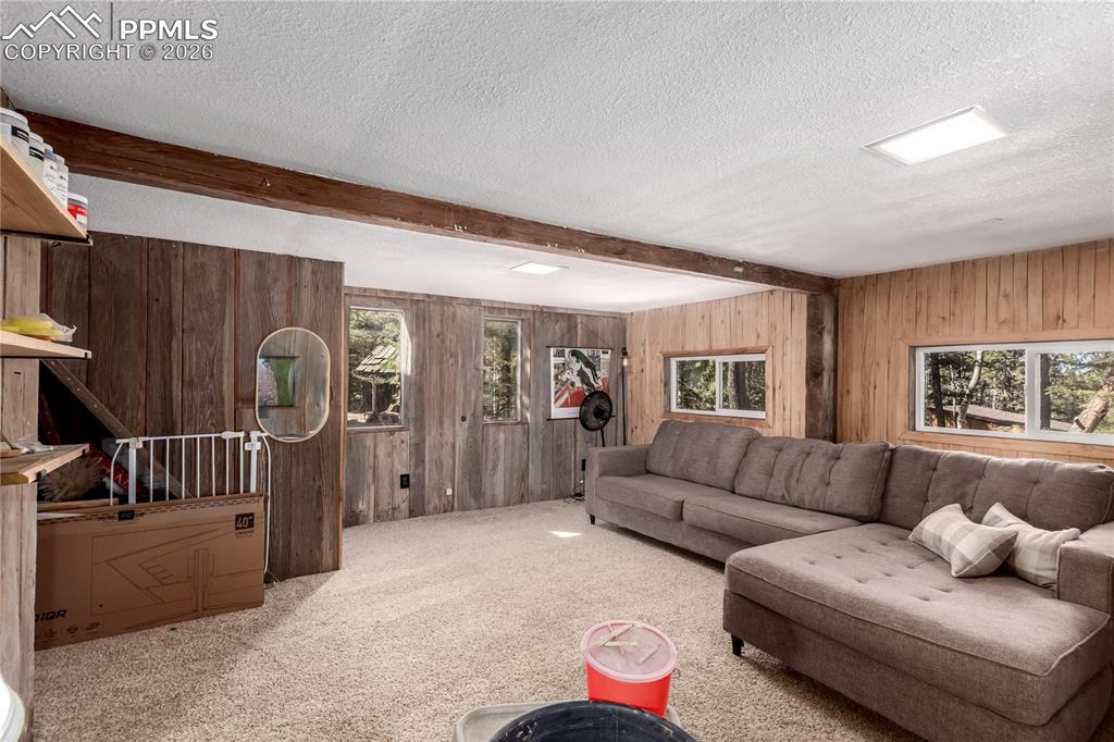 44 Anderson Road Florissant, CO 80816 - Photo 24 of 31 a living room with furniture and a couch