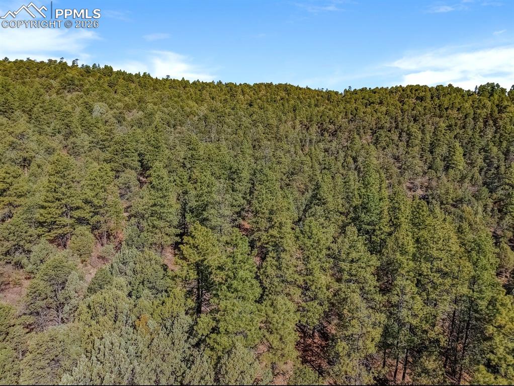 230 Old Mission Road Trinidad, CO 81082 - Photo 11 of 20