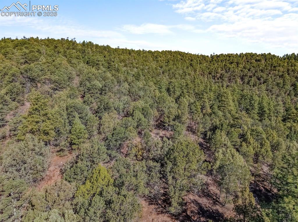 230 Old Mission Road Trinidad, CO 81082 - Photo 12 of 20