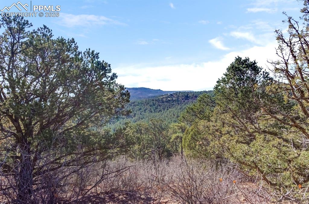 230 Old Mission Road Trinidad, CO 81082 - Photo 19 of 20