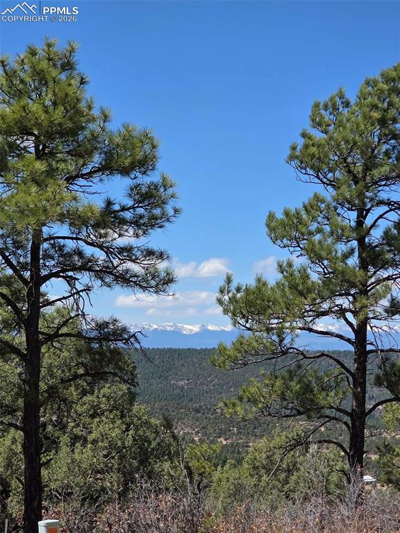 230 Old Mission Road Trinidad, CO 81082 - Photo 3 of 20