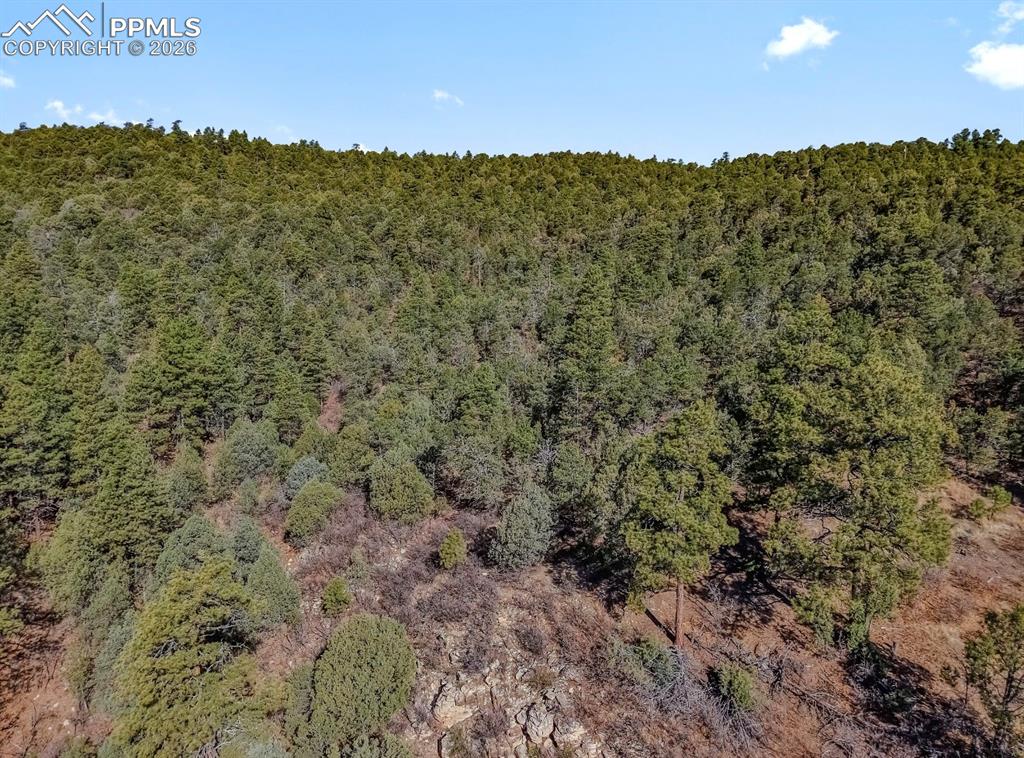 230 Old Mission Road Trinidad, CO 81082 - Photo 4 of 20