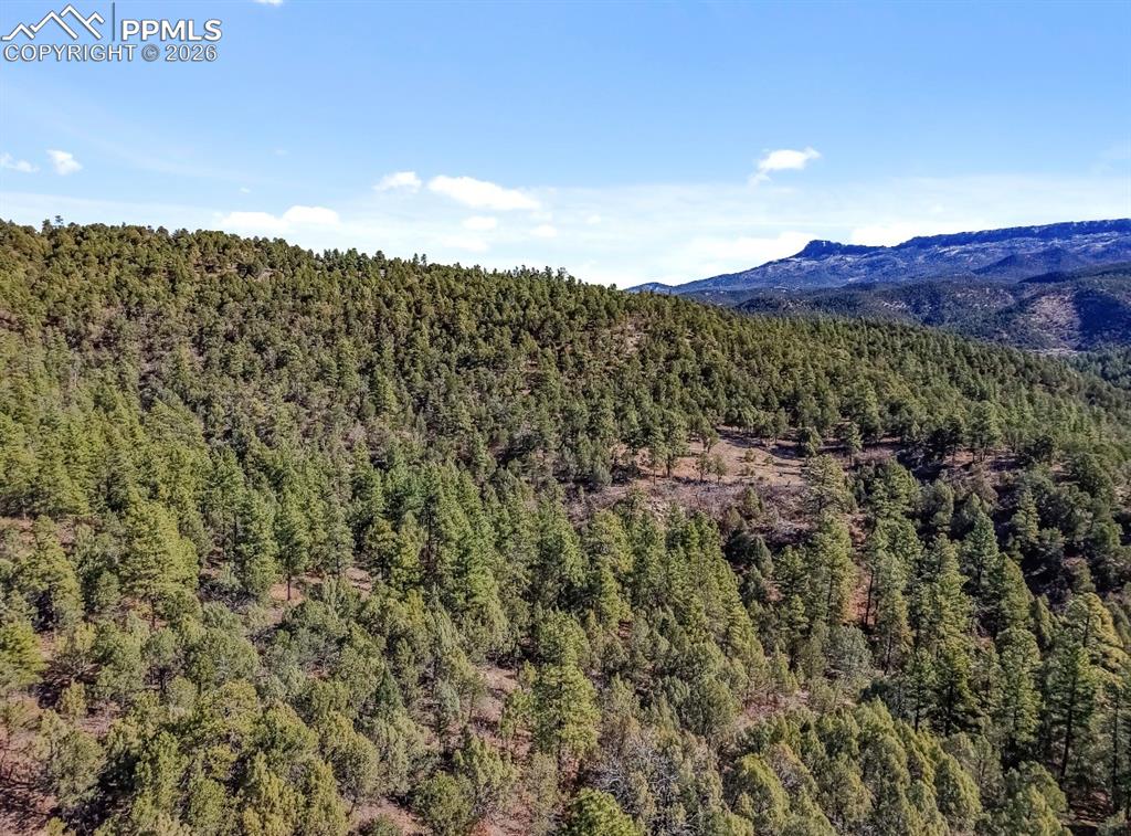 230 Old Mission Road Trinidad, CO 81082 - Photo 5 of 20