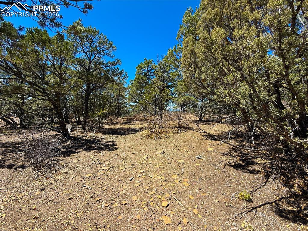 230 Old Mission Road Trinidad, CO 81082 - Photo 10 of 20