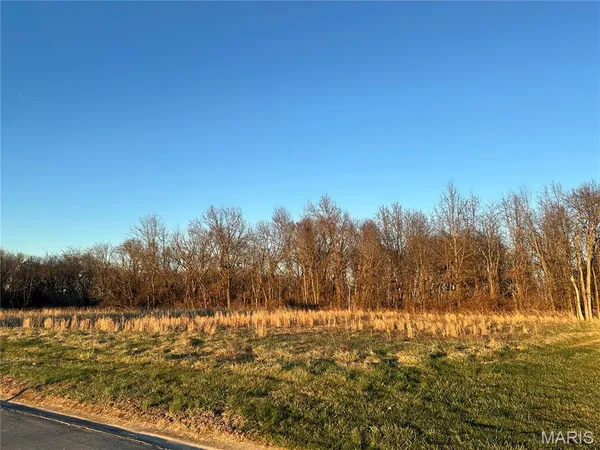 $25,000 | Xxx Xxx Tortoise Trail, Gillespie, IL 62033