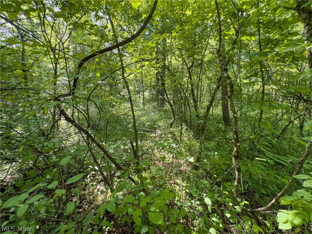 3 Jake Road Patriot, OH 45658 - Photo 8 of 15