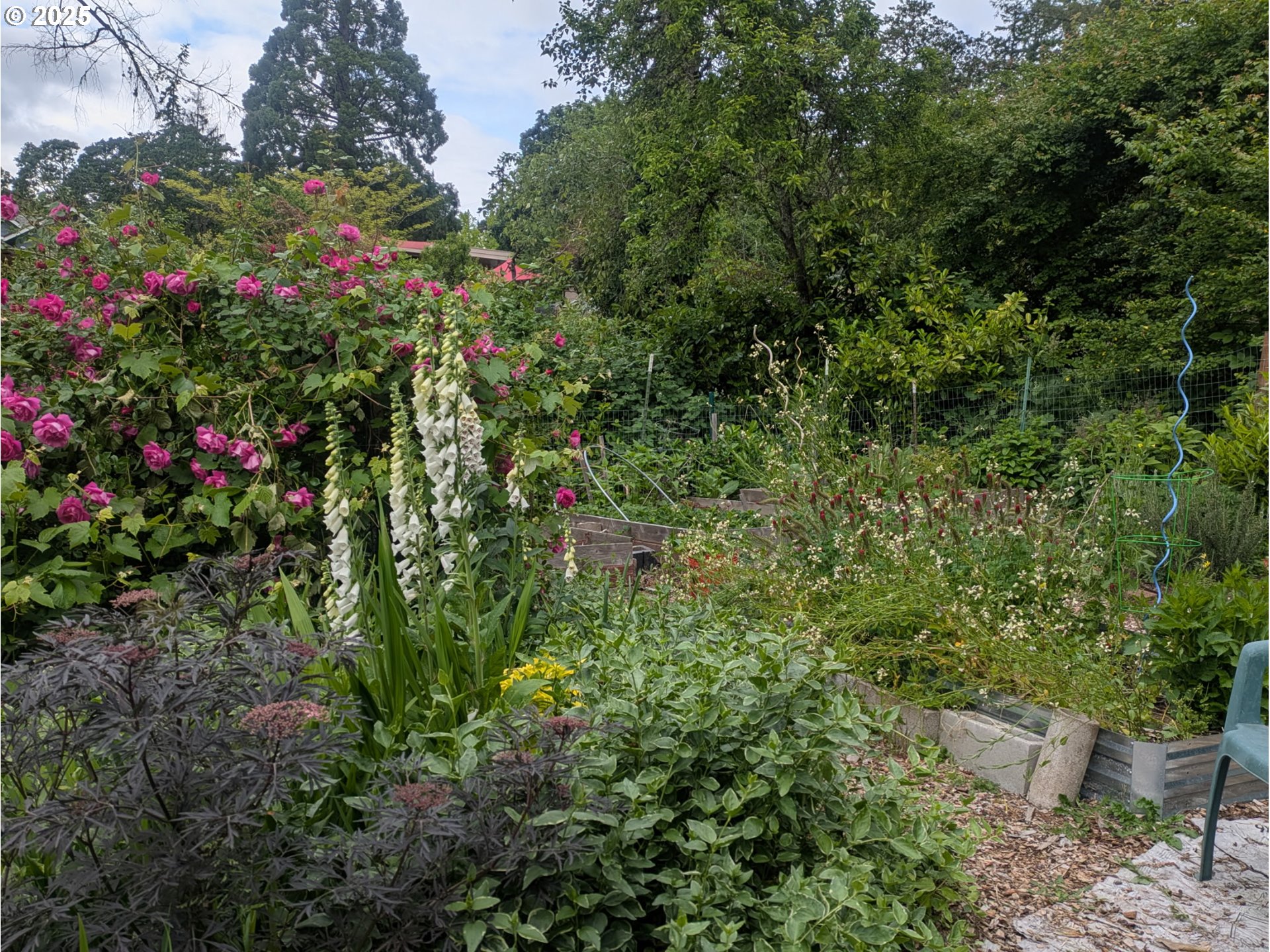 1933 East 28th Avenue Eugene, OR 97403 - Photo 28 of 35
