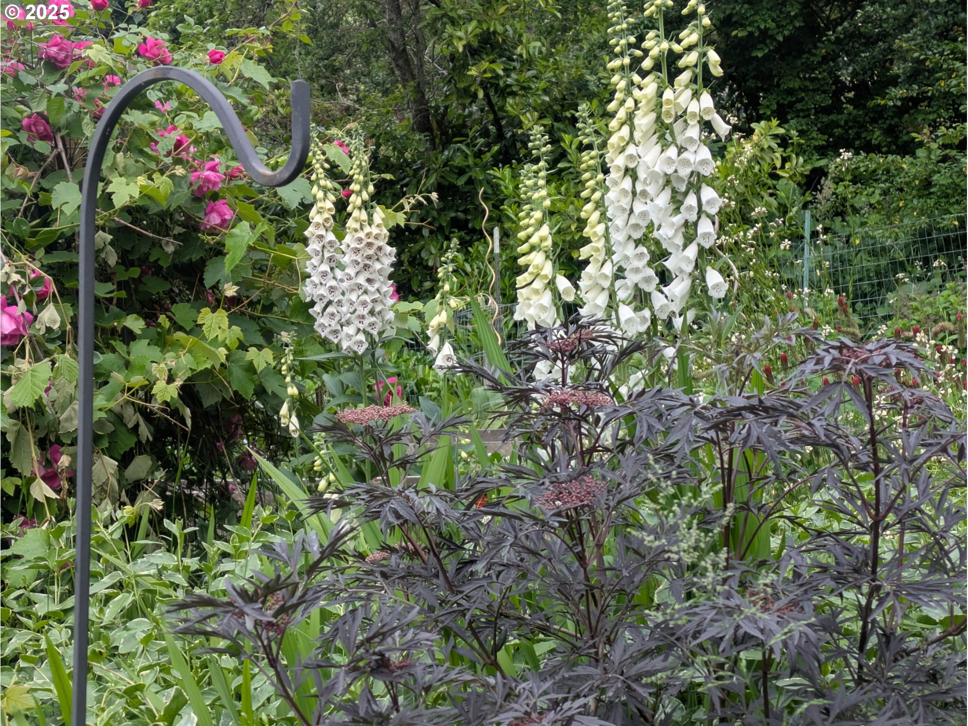 1933 East 28th Avenue Eugene, OR 97403 - Photo 29 of 35