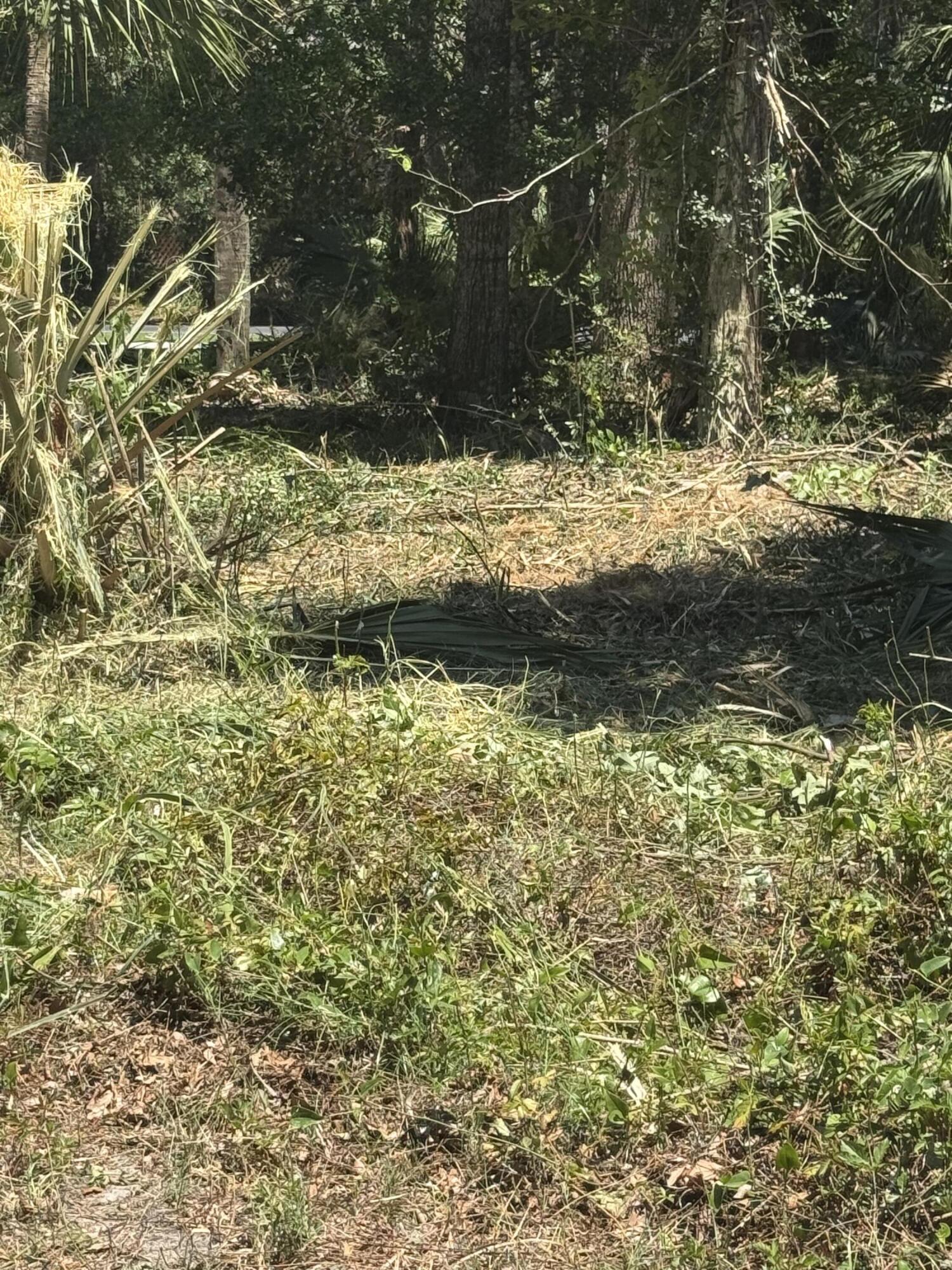 609 Jungle Road Edisto Island, SC 29438 - Photo 2 of 5 IMG_5136