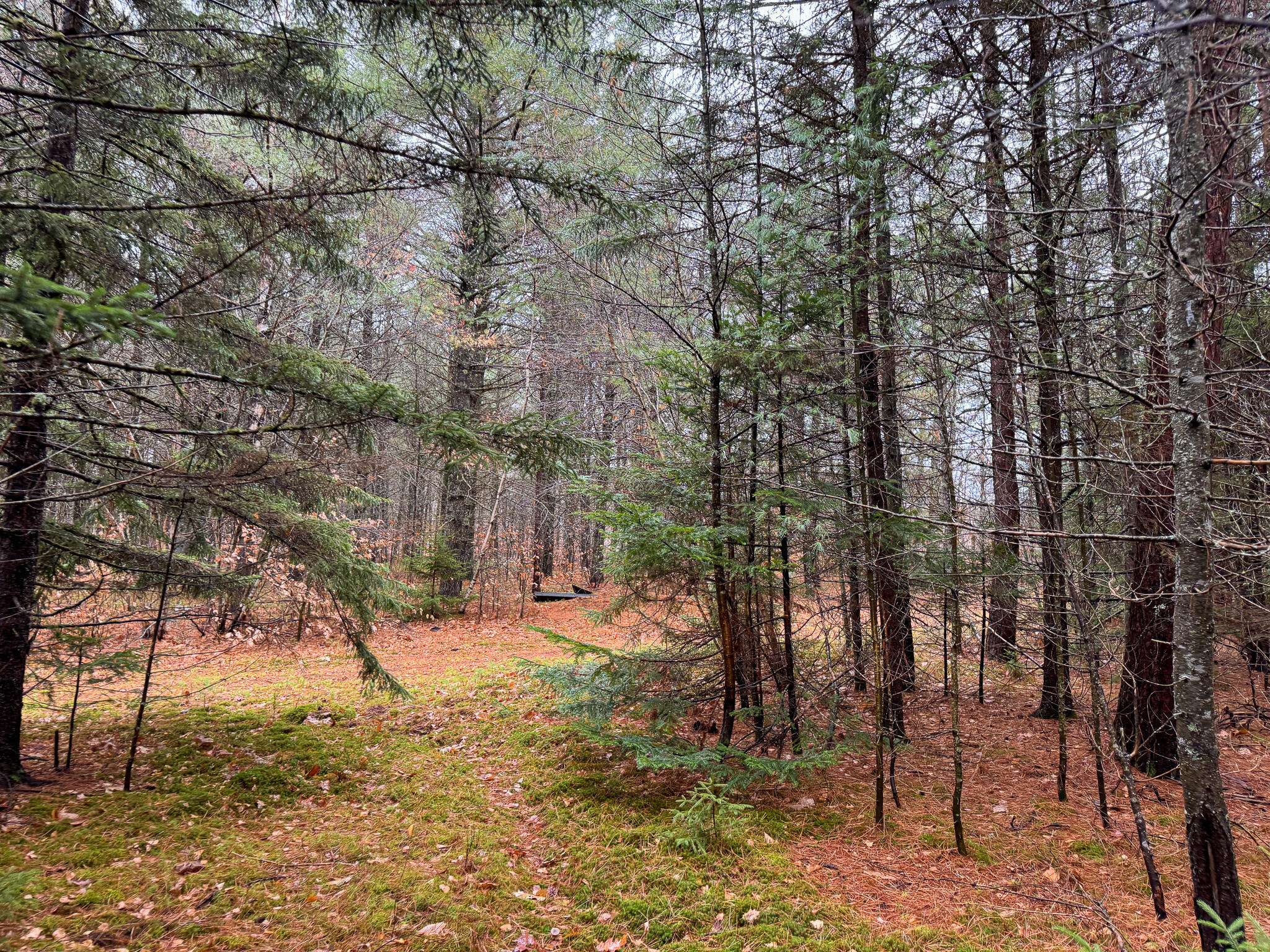 43 Fleming Road Bethel, ME 04217 - Photo 44 of 45 44