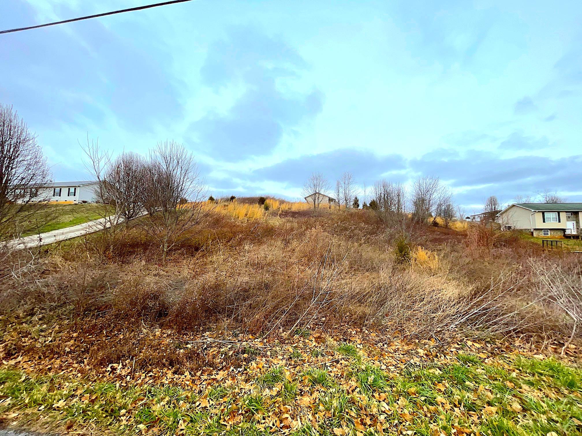 Ebenezer Road Chuckey, TN 37641 - Photo 4 of 7 8.2