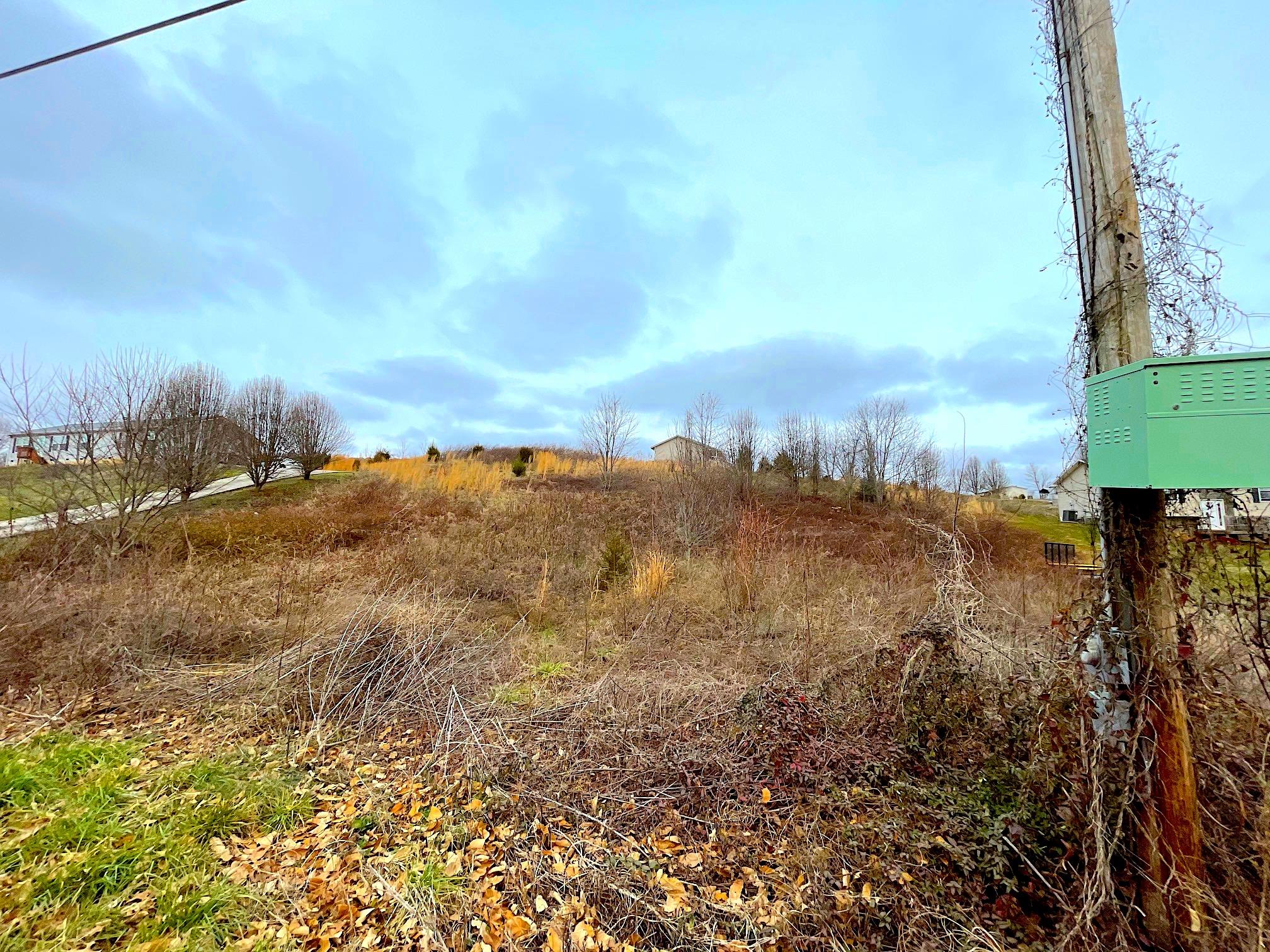 Ebenezer Road Chuckey, TN 37641 - Photo 5 of 7 8.3