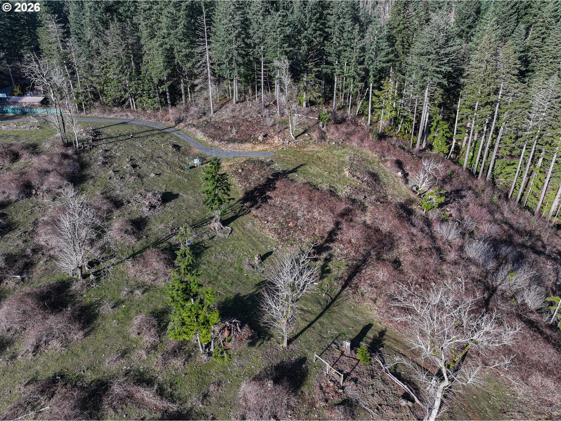 562 Woodard Creek Road Stevenson, WA 98648 - Photo 19 of 33