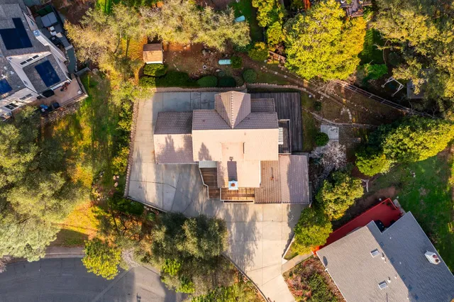 a view of a tree with a yard