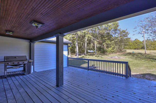 a view of a forest with a mountain