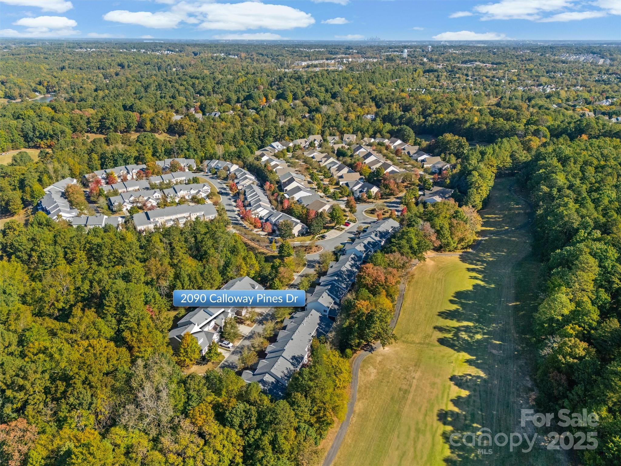 2090 Calloway Pines Drive Tega Cay, SC 29708 - Photo 33 of 38 view of city and mountain