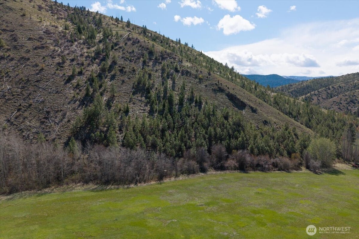 0 Bisping Canyon Road Entiat, WA 98822 - Photo 13 of 23 a view of an outdoor space and a yard