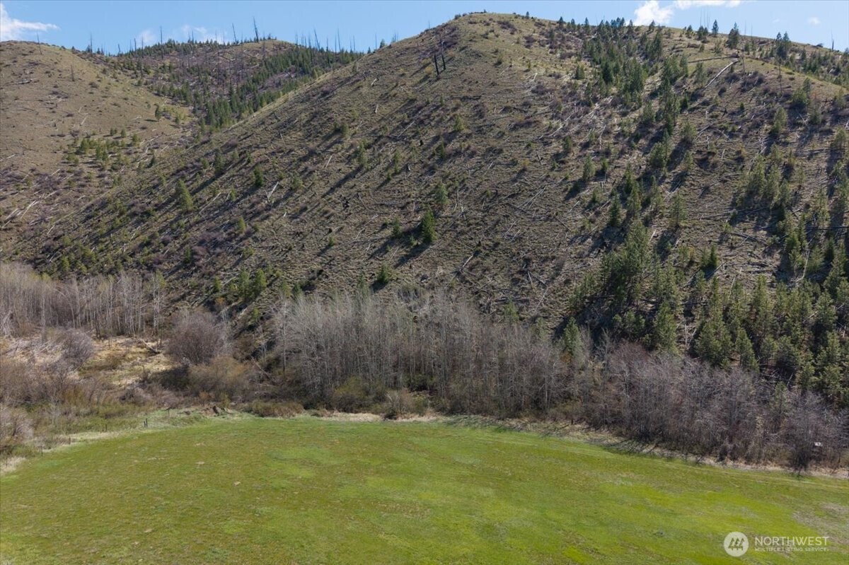 0 Bisping Canyon Road Entiat, WA 98822 - Photo 14 of 23 a view of a field with an ocean